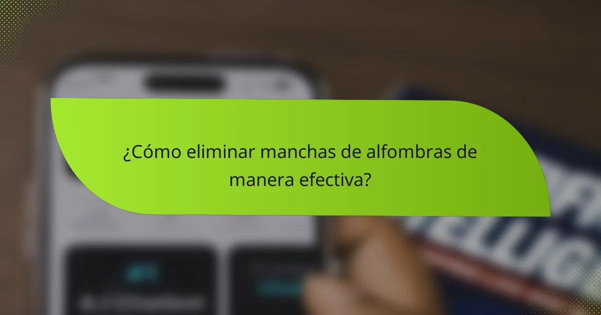 ¿Cómo eliminar manchas de alfombras de manera efectiva?