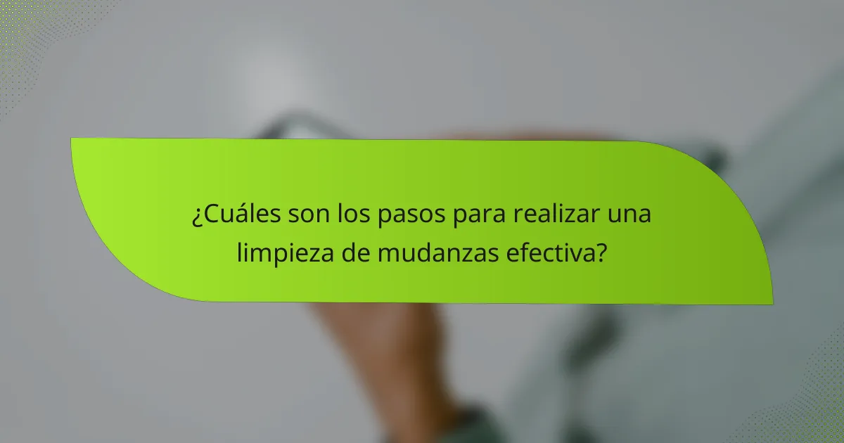 ¿Cuáles son los pasos para realizar una limpieza de mudanzas efectiva?