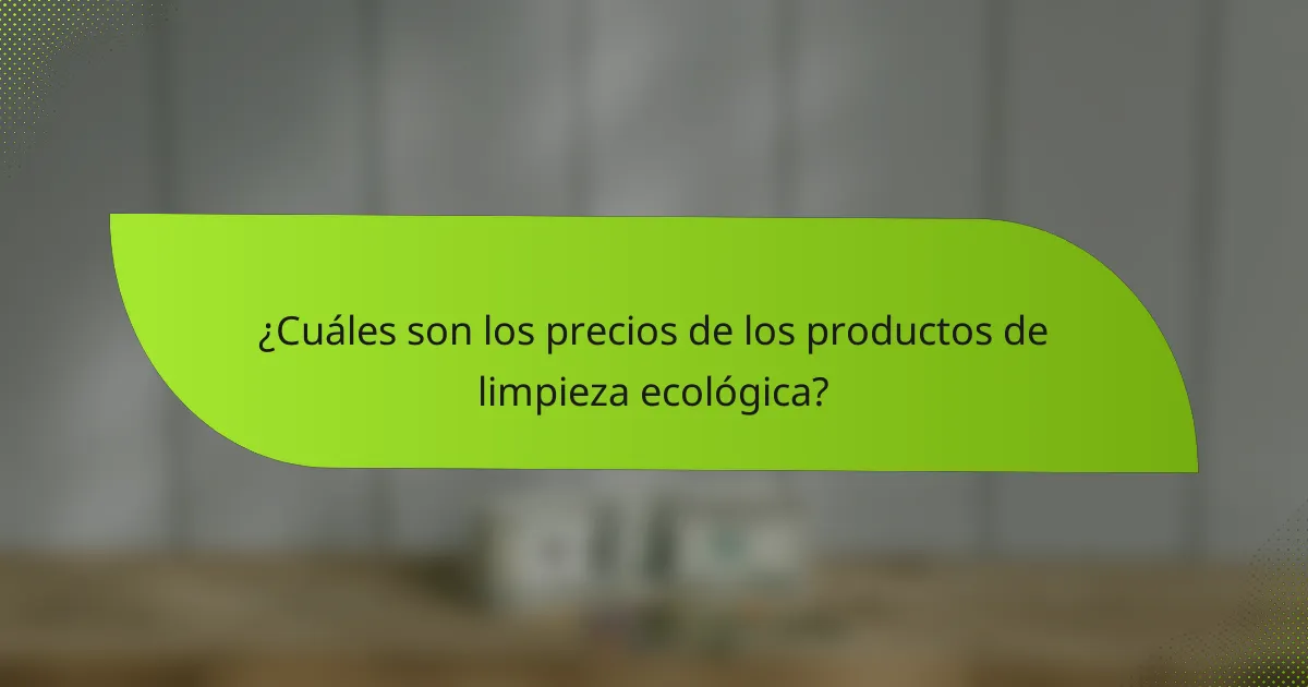 ¿Cuáles son los precios de los productos de limpieza ecológica?