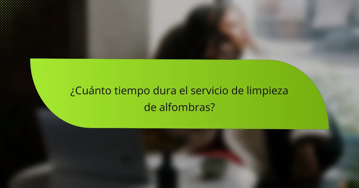¿Cuánto tiempo dura el servicio de limpieza de alfombras?