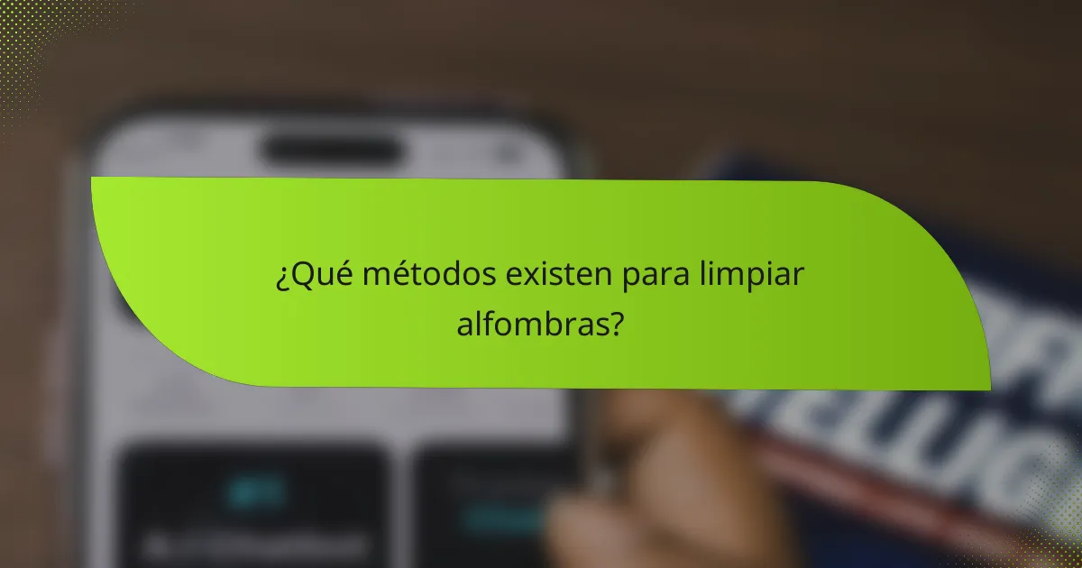 ¿Qué métodos existen para limpiar alfombras?